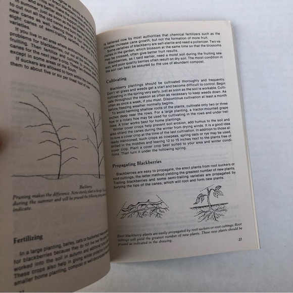 3/$12! Berries, Rasp- & Black Garden Way Publishing Bulletin A-33 Booklet 1979 - Picture 6 of 6